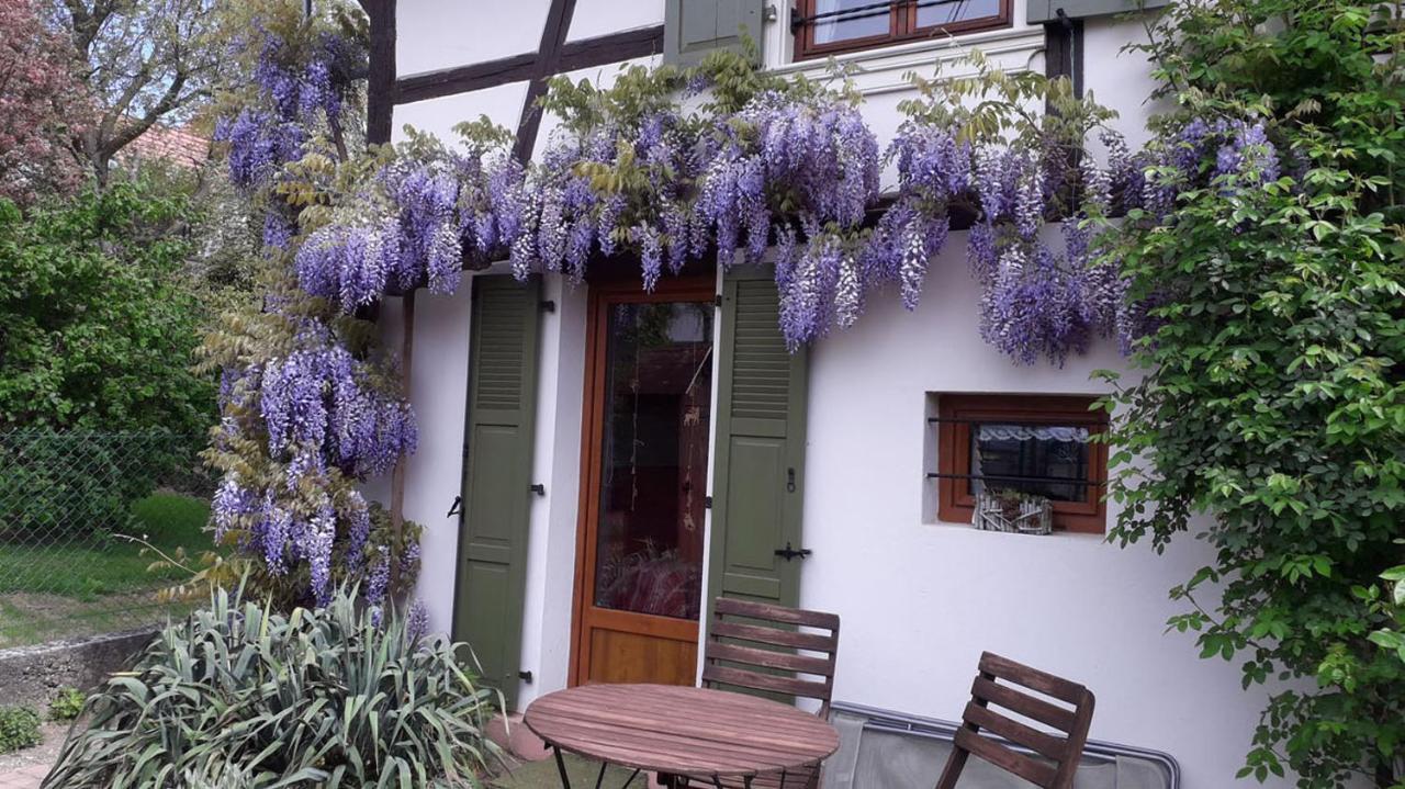 Gitehaushaltermerkwiller Exterior foto